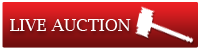 live-auction-button